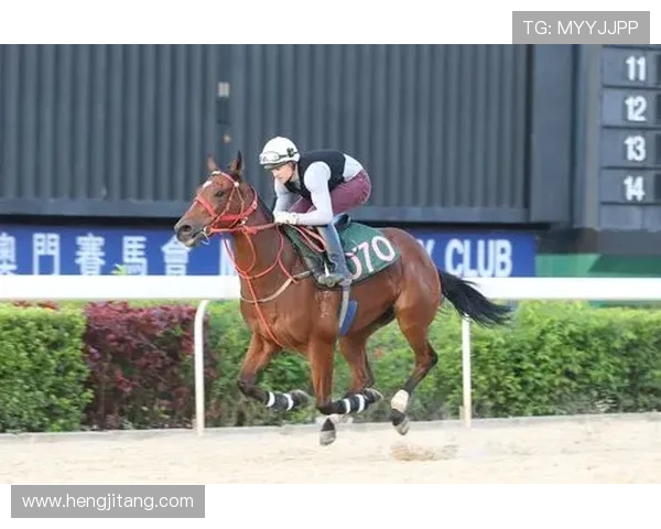 新澳门京葡官网:澳门京葡官网的技术支持与平台稳定性分析 新澳门京葡官网:澳门京葡官网的技术支持与平台稳定性分析