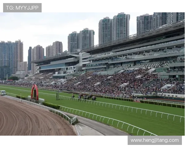 在赛马会正规官网上如何快速查询赛马比赛结果，掌握最新赛马动态与投注策略